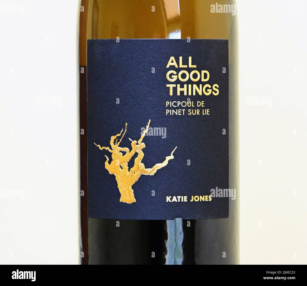 Weinetikett. Alles Gute. Picpoul de Pinet sur lie. Katie Jones. Frankreich. Stockfoto