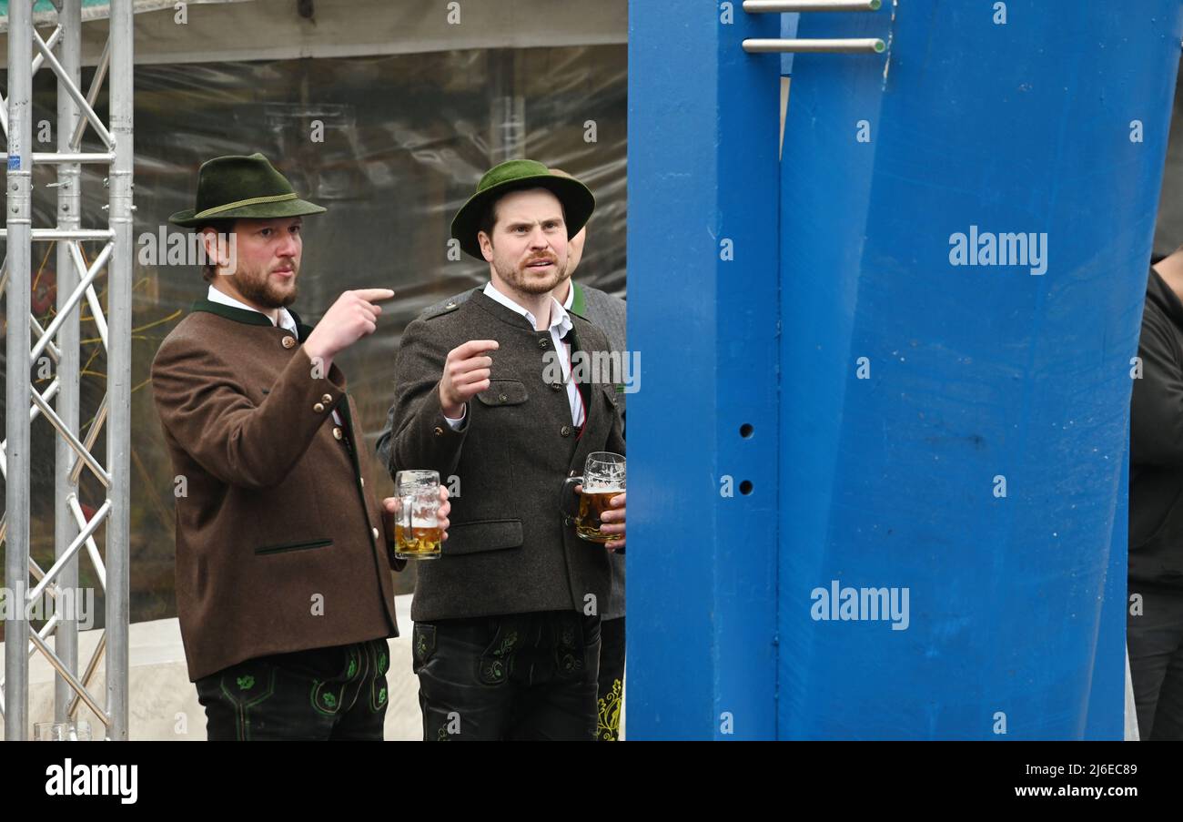 München, Deutschland. 01.. Mai 2022. Mitglieder des Burschenvereins Hohendilching-Sollach geben beim Aufbau des neuen Maibauens Anweisungen auf dem Viktualienmarkt. Der Maibaum wurde vom Burschenverein hergestellt. Quelle: Tobias Hase/dpa/Alamy Live News Stockfoto