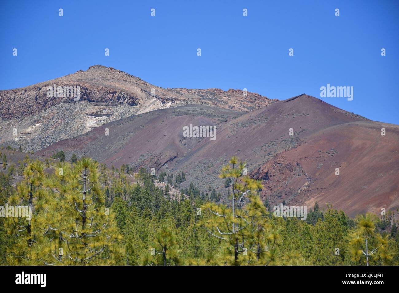 Farbenfrohe Berge des Teide-Nationalparks vom Nebelwald von Paisaje Lunar aus gesehen, Insel Teneriffa, Spanien Stockfoto