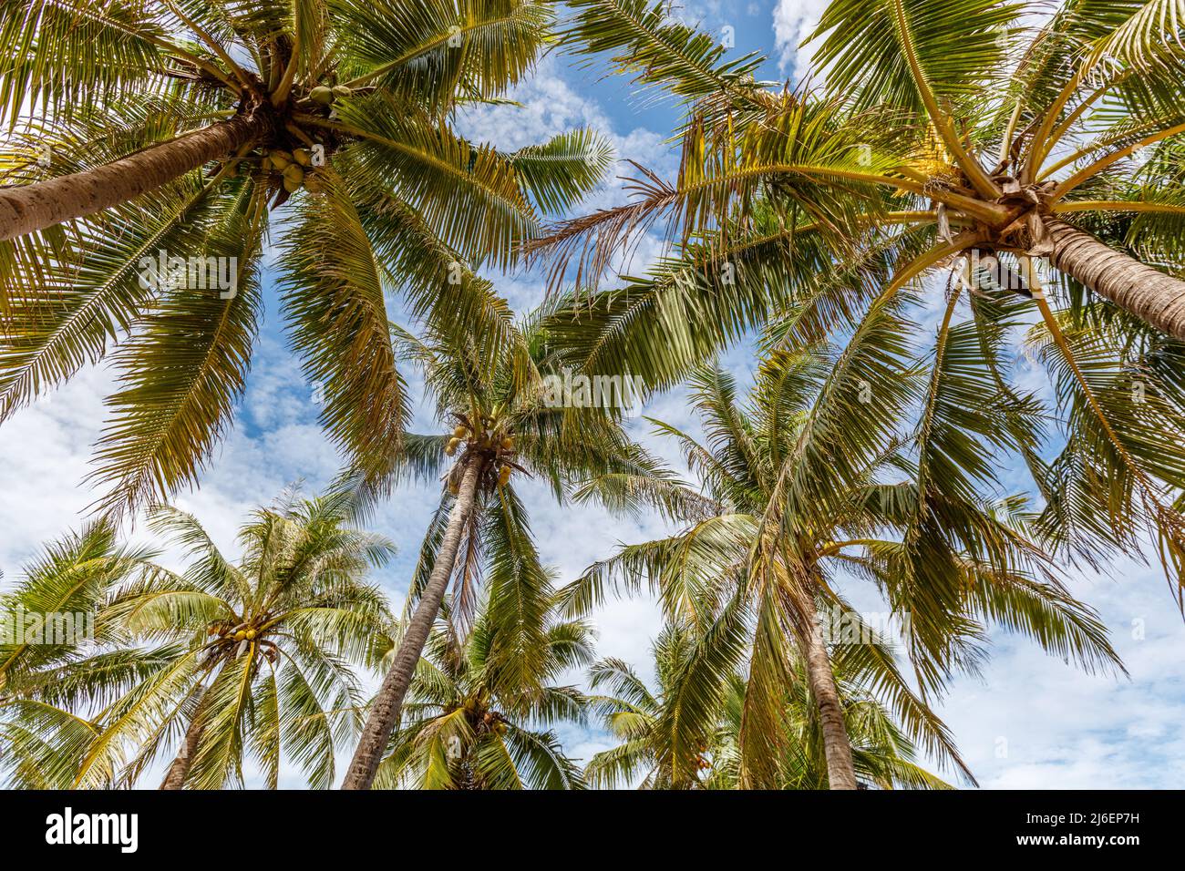 Nemberala strand -Fotos und -Bildmaterial in hoher Auflösung – Alamy