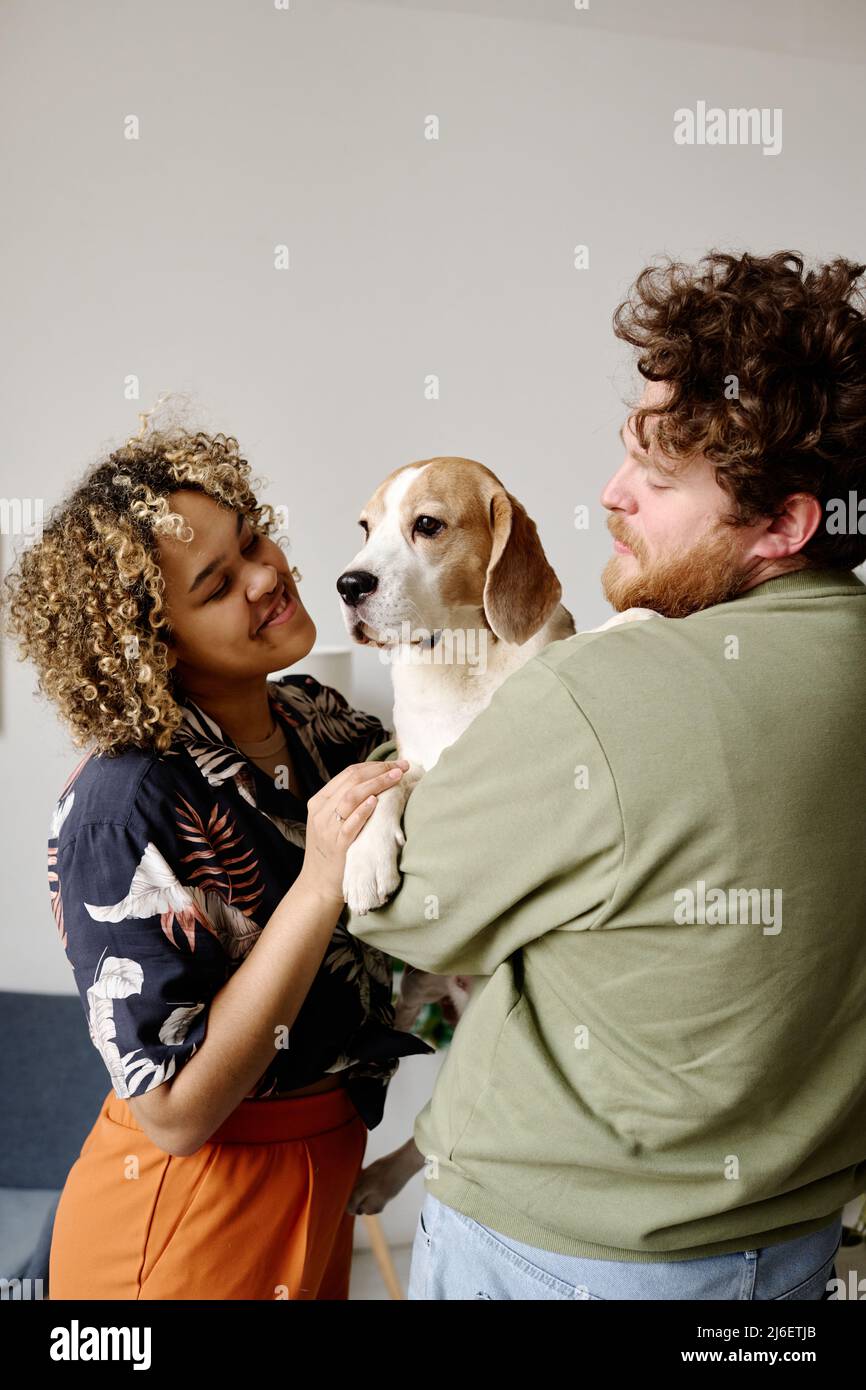 Junger übergewichtiger Mann, der seinen Hund auf den Armen hält, während eine afrikanische Frau mit dem Haustier spricht und lächelt Stockfoto