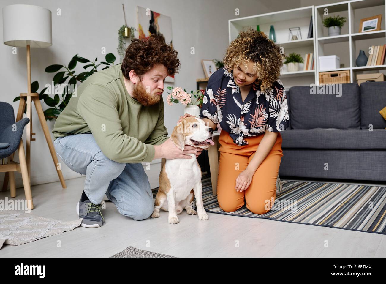 Multiethnisches junges Paar, das seinen reinrassigen Hund trainiert, während es auf dem Boden im Wohnzimmer sitzt Stockfoto