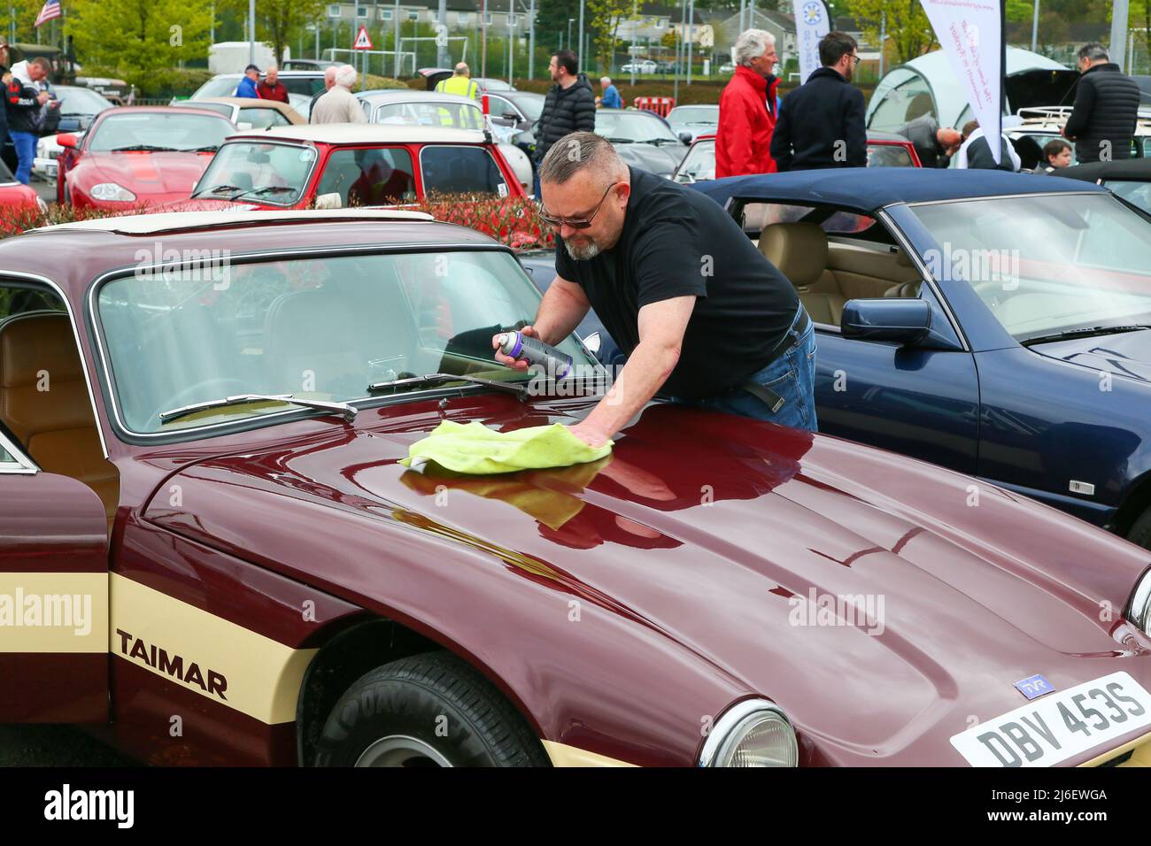 01. Mai 2022, Kilmarnock, Großbritannien. Der Ayrshire Classic Car Club veranstaltete seine beliebte, jährliche Oldtimer-Rallye in der St Joseph's Academy, Kilmarnock, und zog in diesem Jahr mehr als 200 Oldtimer und Oldtimer aller Beschreibungen an. Es gilt heute als eine der wichtigsten Veranstaltungen seiner Art, die es Enthusiasten und Besitzern aus ganz Großbritannien ermöglicht, ihre Autos zu präsentieren. ANDREW GILMOUR poliert seine 1977 TVR Taimer rechtzeitig zur Beurteilung. Kredit: Findlay / Alamy Live Nachrichten Stockfoto