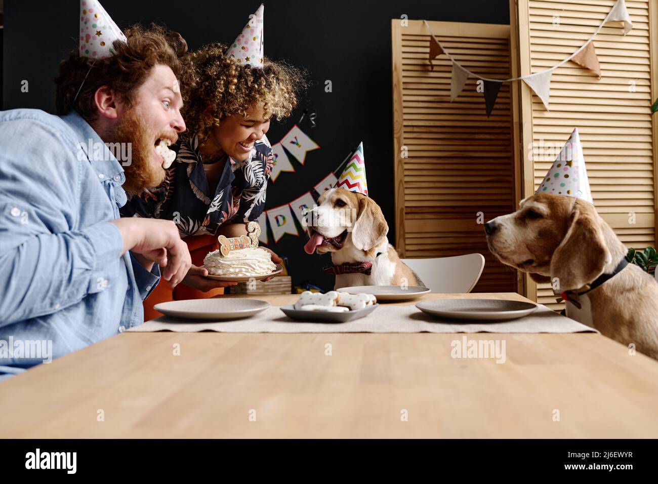 Multiethnisches glückliches Paar, das mit seinen Hunden am Tisch sitzt und gemeinsam mit Kuchen Geburtstag feiert Stockfoto