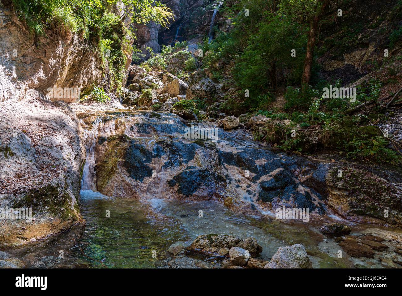 La Camosciara ist ein ausgedehntes Naturschutzgebiet mit Wanderwegen für erfahrene Wanderer und Anfänger, eindrucksvollen Aussichten und Wildtieren. Es ist ein integraler Bestandteil Stockfoto