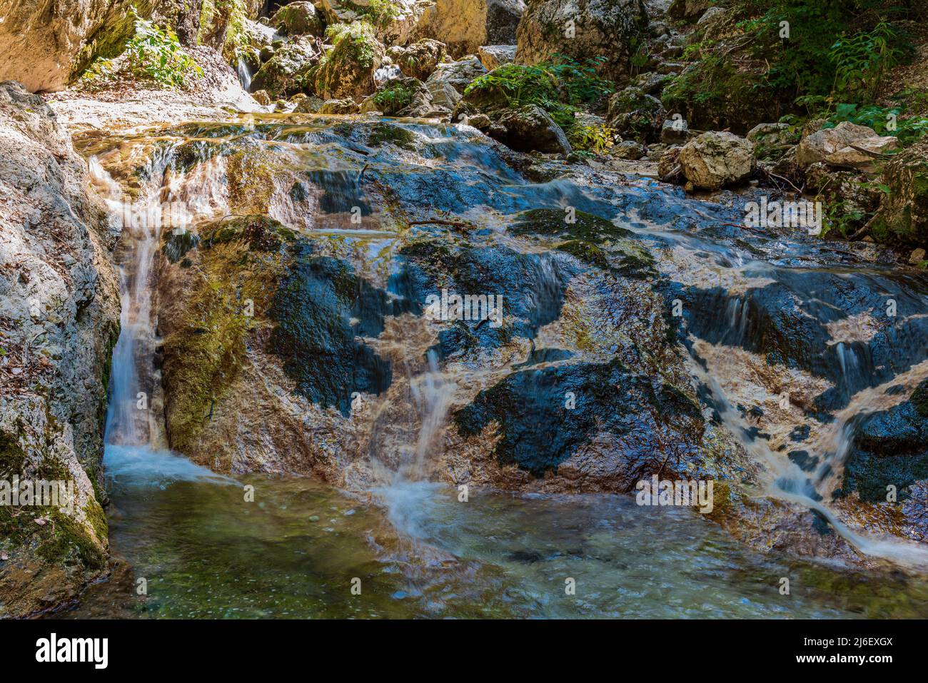 La Camosciara ist ein ausgedehntes Naturschutzgebiet mit Wanderwegen für erfahrene Wanderer und Anfänger, eindrucksvollen Aussichten und Wildtieren. Es ist ein integraler Bestandteil Stockfoto