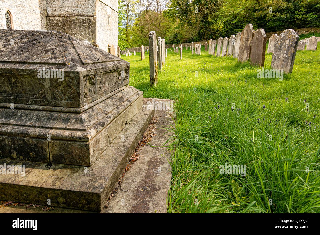 Eine Linie von Lichen verkrusteten Grabsteinen, wahrscheinlich aus dem 19.. Jahrhundert. Stockfoto