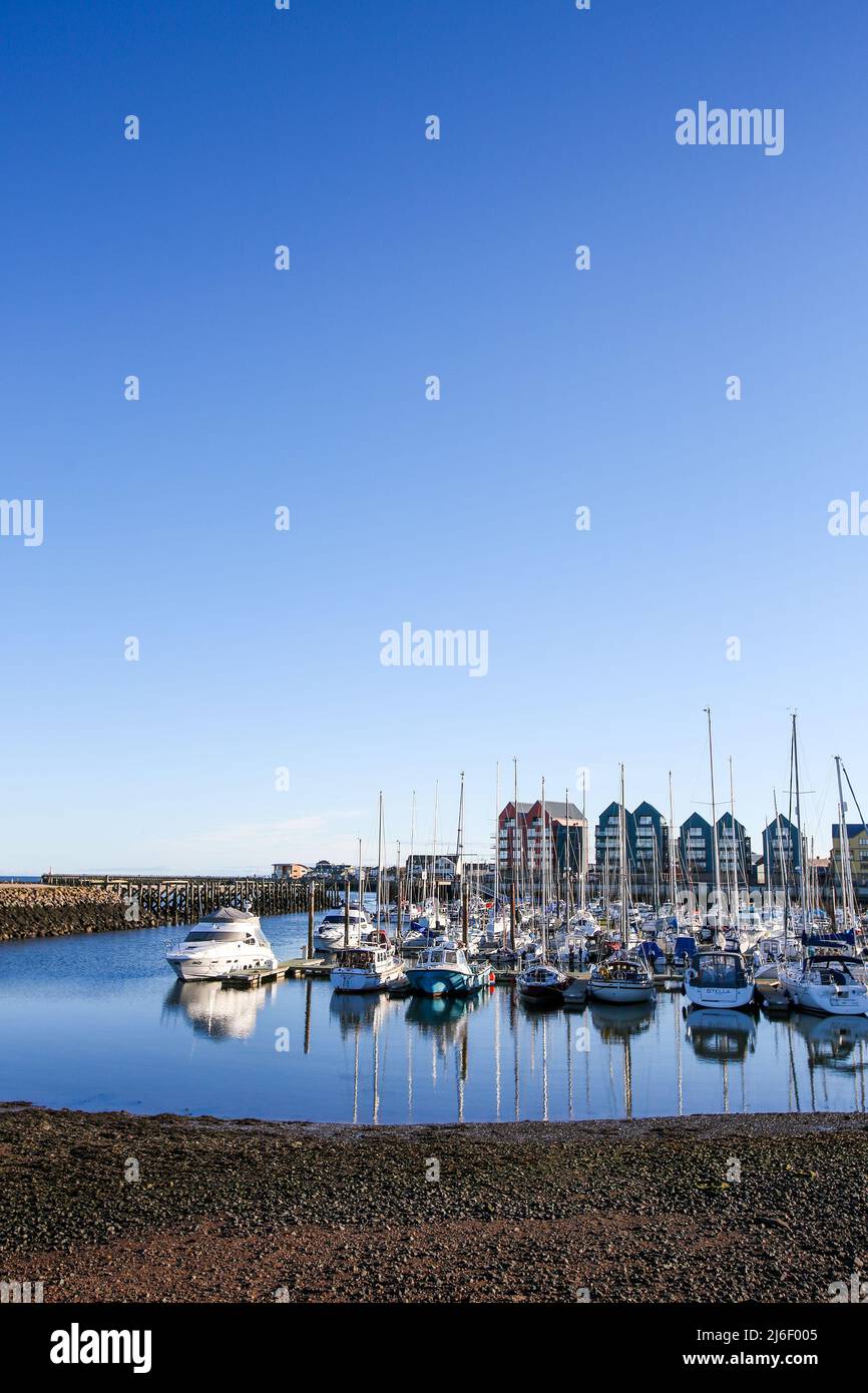 Yachten und Segelboote in Amble Marina, Northumberland Frühjahr 2022 Stockfoto