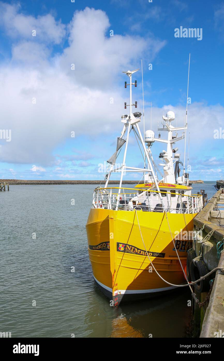 Fischerboote im Amble Harbour, Northumberland Spring 2022 Stockfoto