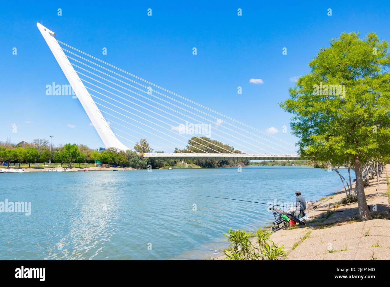 Fischer Puente del Alamillo oder Alamillo Brücke über den Kanal Sevilla-Bonanza in sevilla Spanien entworfen von Santiago Calatrava für die Expo 92 la cartuja Stockfoto