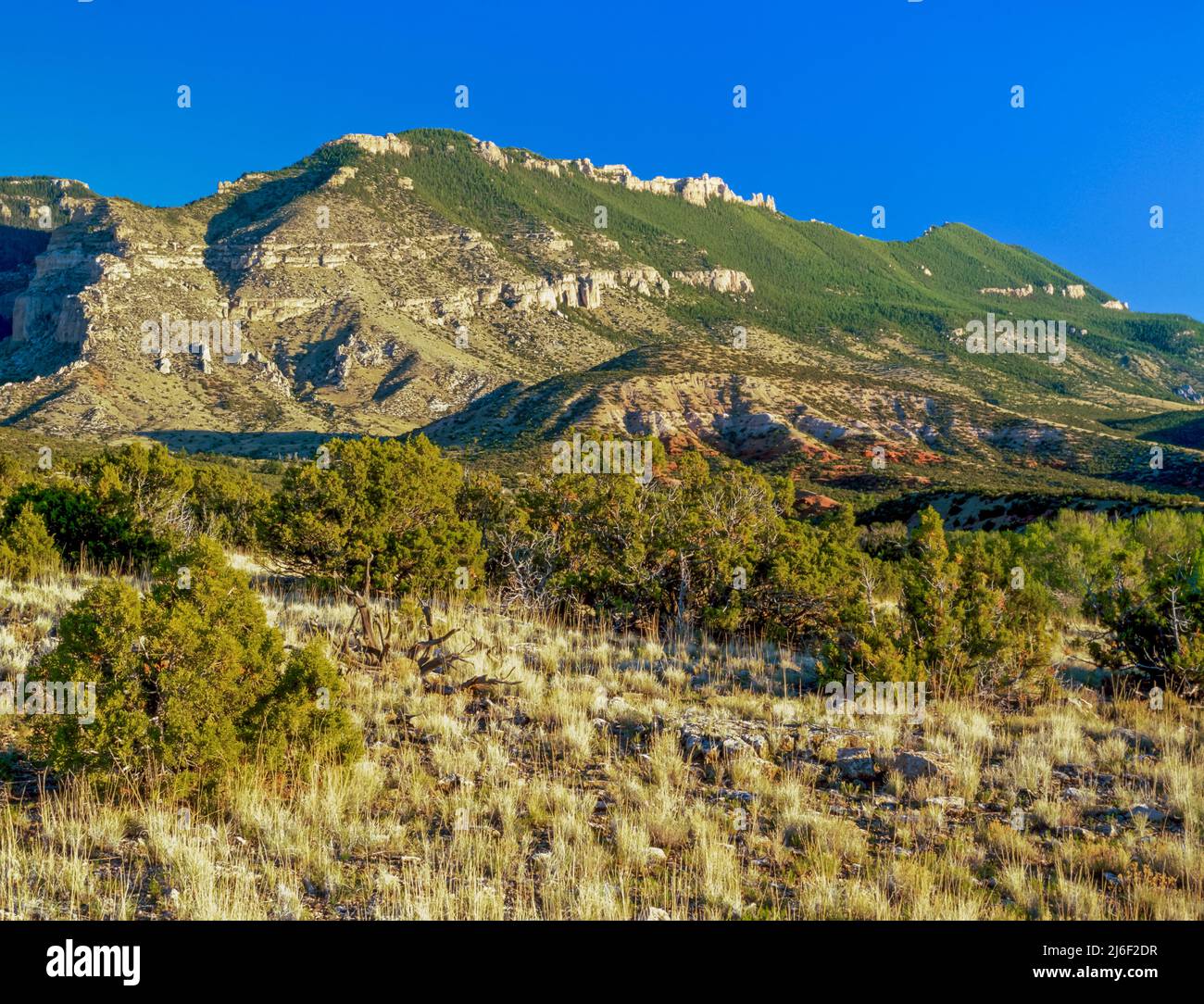 pryor Berge und Ausläufer in der Nähe des Bighorn Canyon in der Nähe von warren, montana Stockfoto