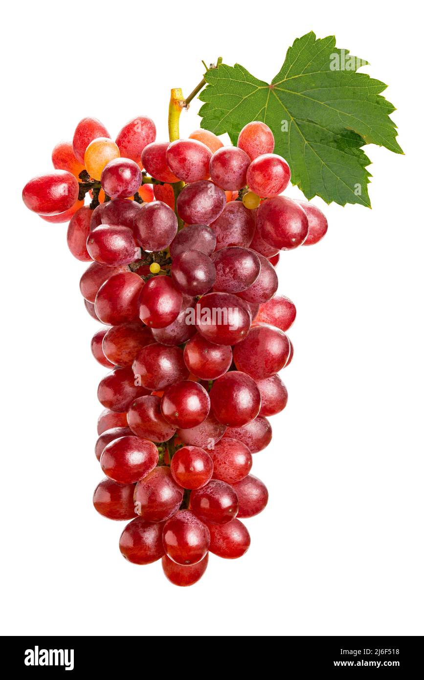 Trauben mit grünem Blatt, isoliert auf weißem Hintergrund und mit Schnittpfad, reif, rot, seedless. Stockfoto