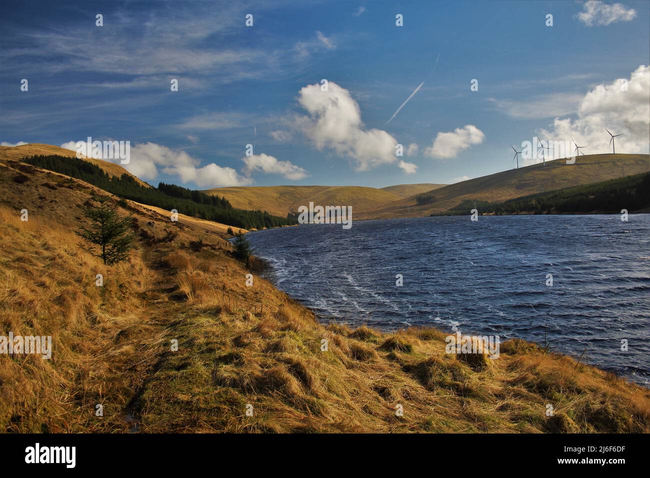 Glen Afton - Schottland Stockfoto