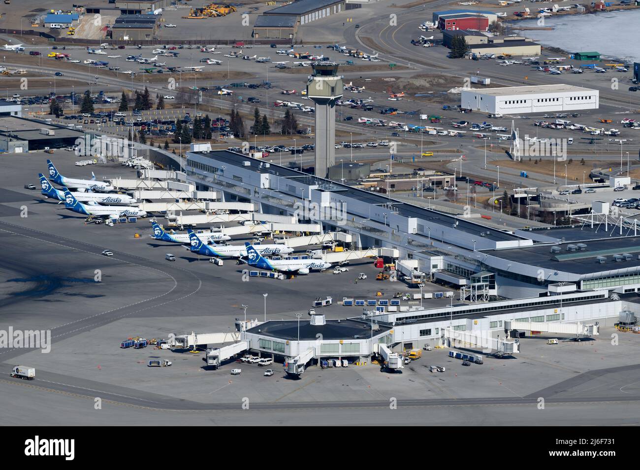 Ted Stevens Anchorage International Airport Passagierterminal in Alaska. Mehrere Flugzeuge von Alaska Airlines zusammen am Flughafen Anchorage. Stockfoto