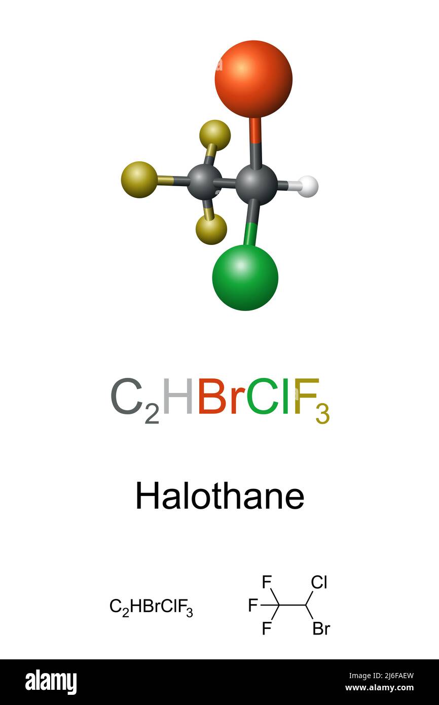 Halothan, Ball-and-Stick-Modell, molekulare und chemische Formel. Vollnarkose, verabreicht durch Einatmen, wird zur Induktion oder Aufrechterhaltung der Anästhesie verwendet. Stockfoto