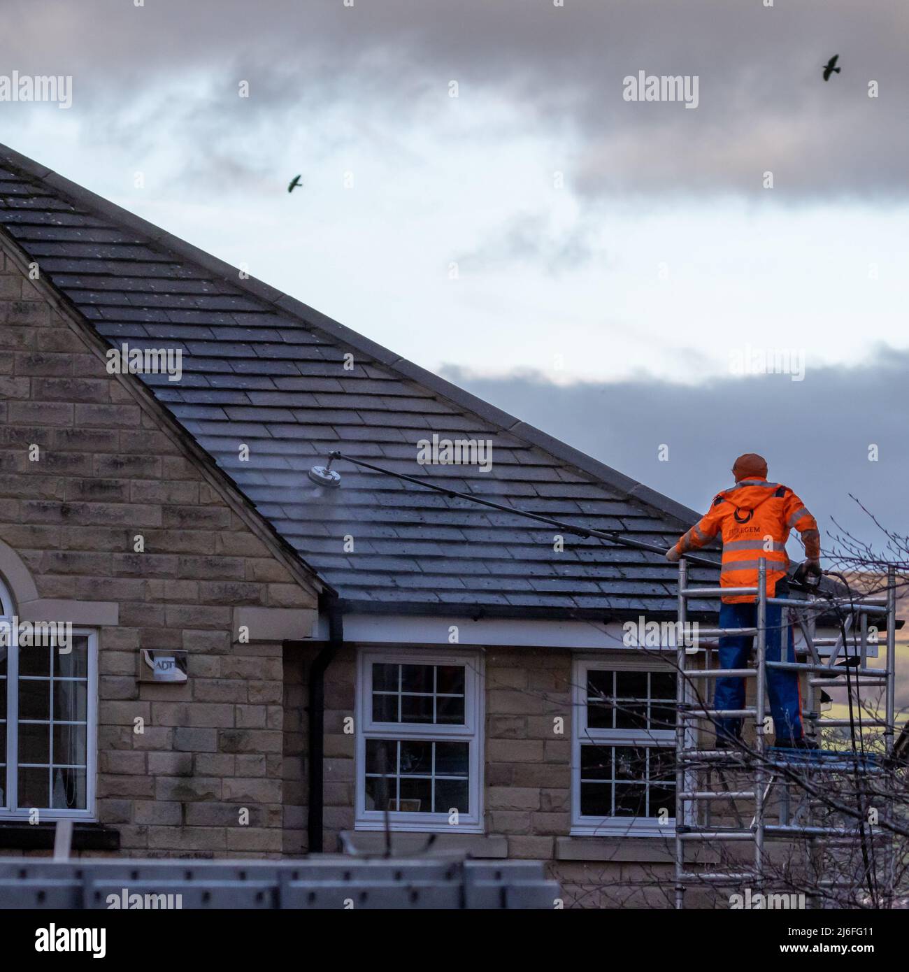 Person, die auf einem Gerüstturm steht, um Hausdachziegel mit einem Spezialgerät zu reinigen, Druckwascher, West Yorkshire, England, Großbritannien Stockfoto