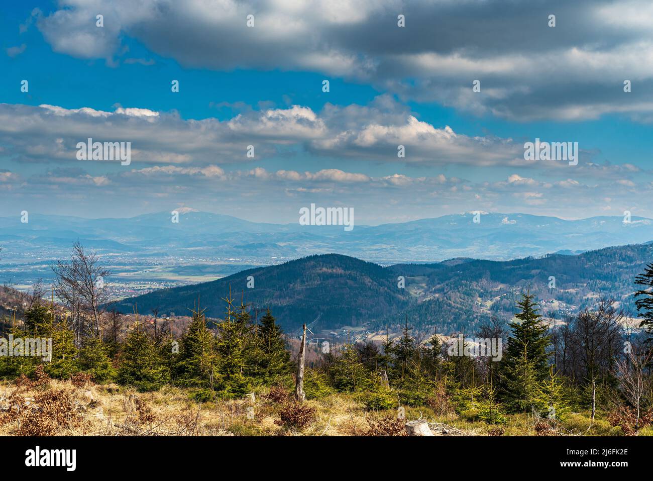Blick auf Pilsko und Babia Gora vom Trzy Kopce Hügel im Beskid Slaski Gebirge in Polen während des schönen Frühlingstages Stockfoto