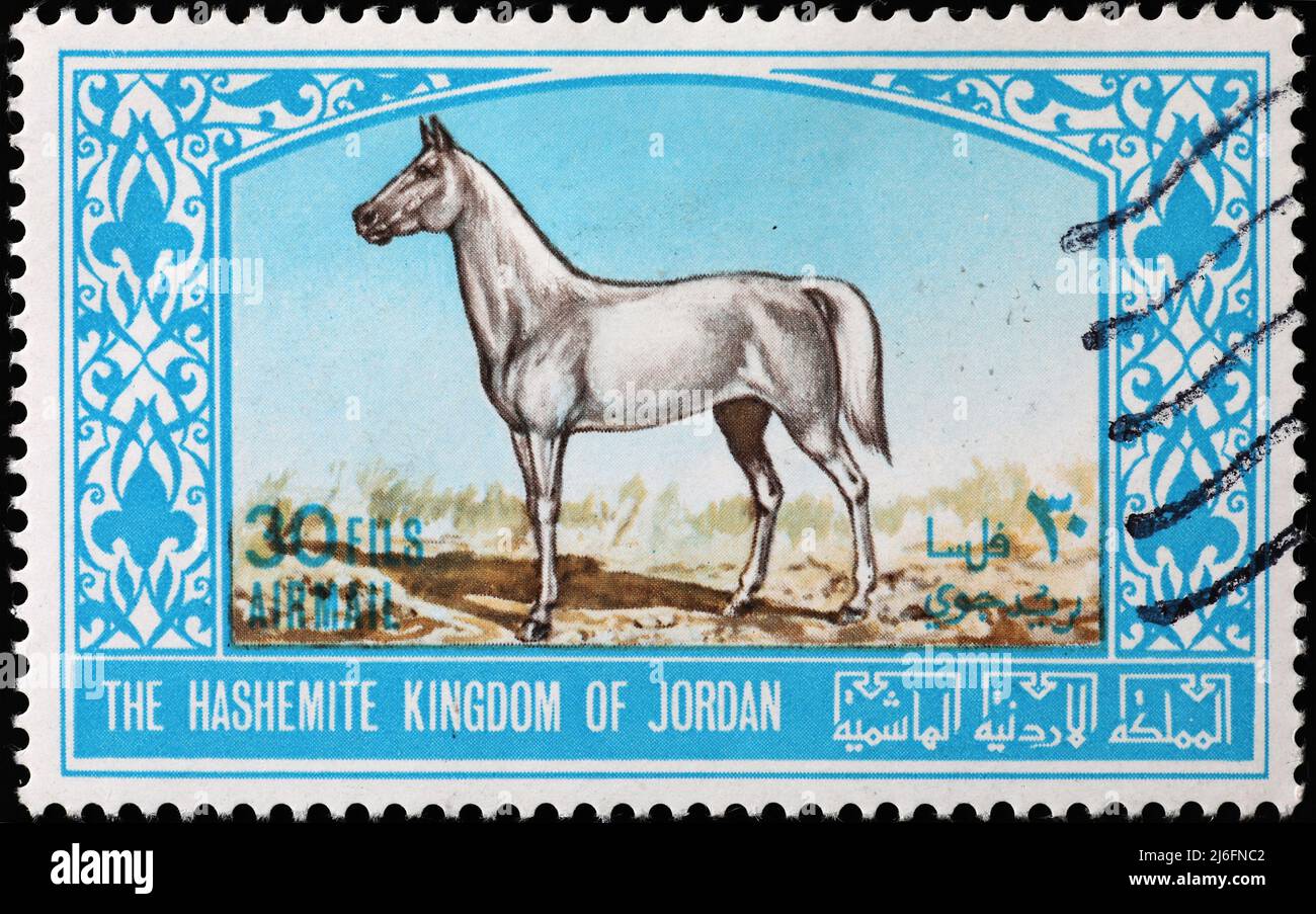 Arabisches Pferd auf jordanischer Briefmarke Stockfoto