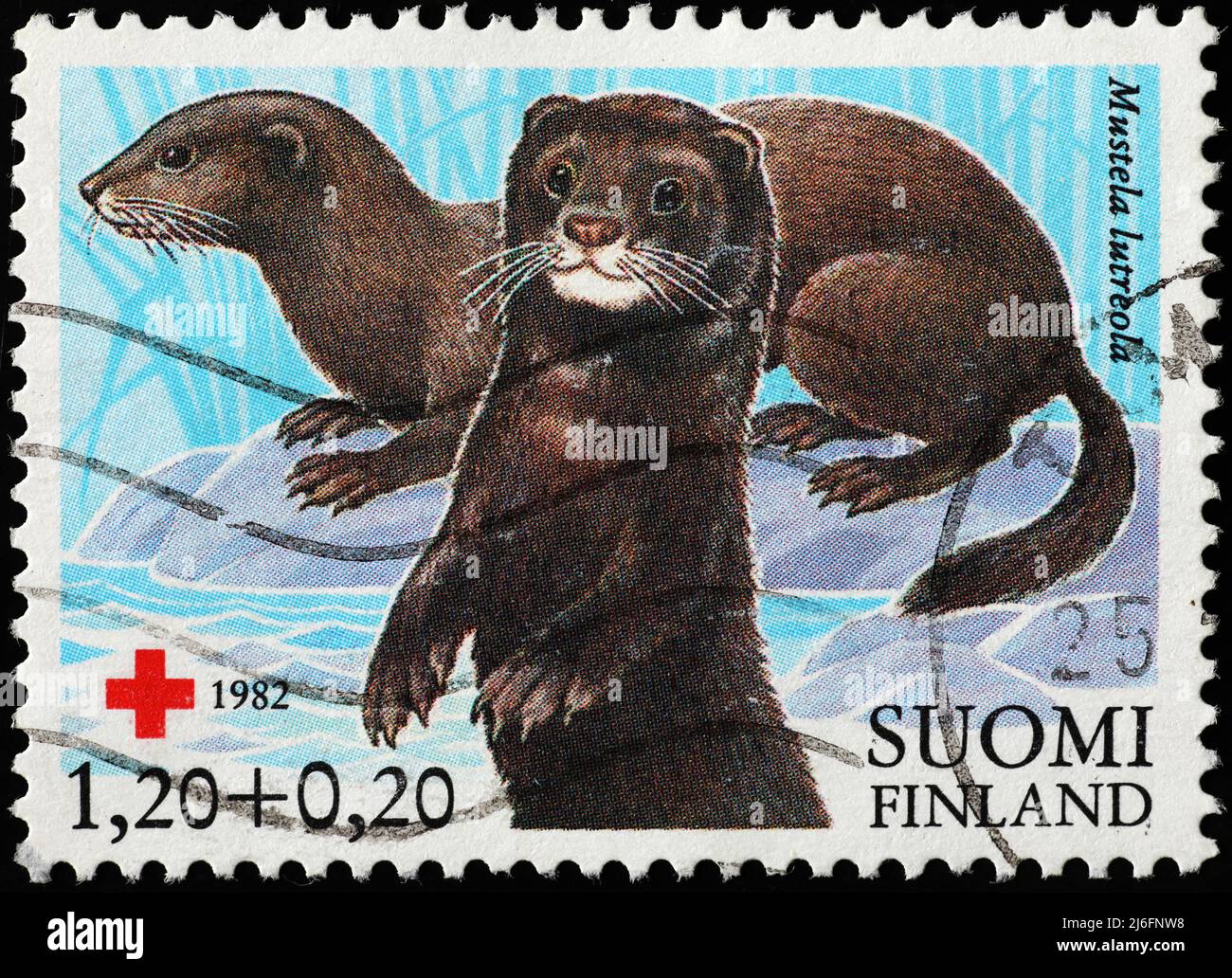 Europäische Nerze auf finnischer Briefmarke Stockfoto