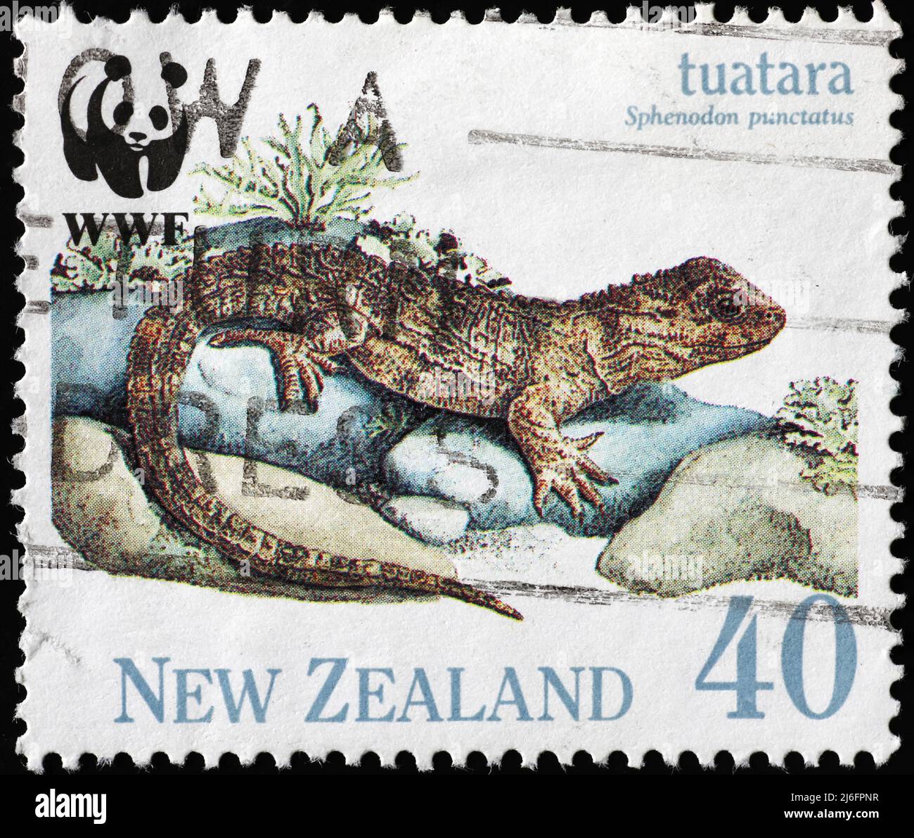 Seltene Echse Tuatara auf neuseeländischer Briefmarke Stockfoto