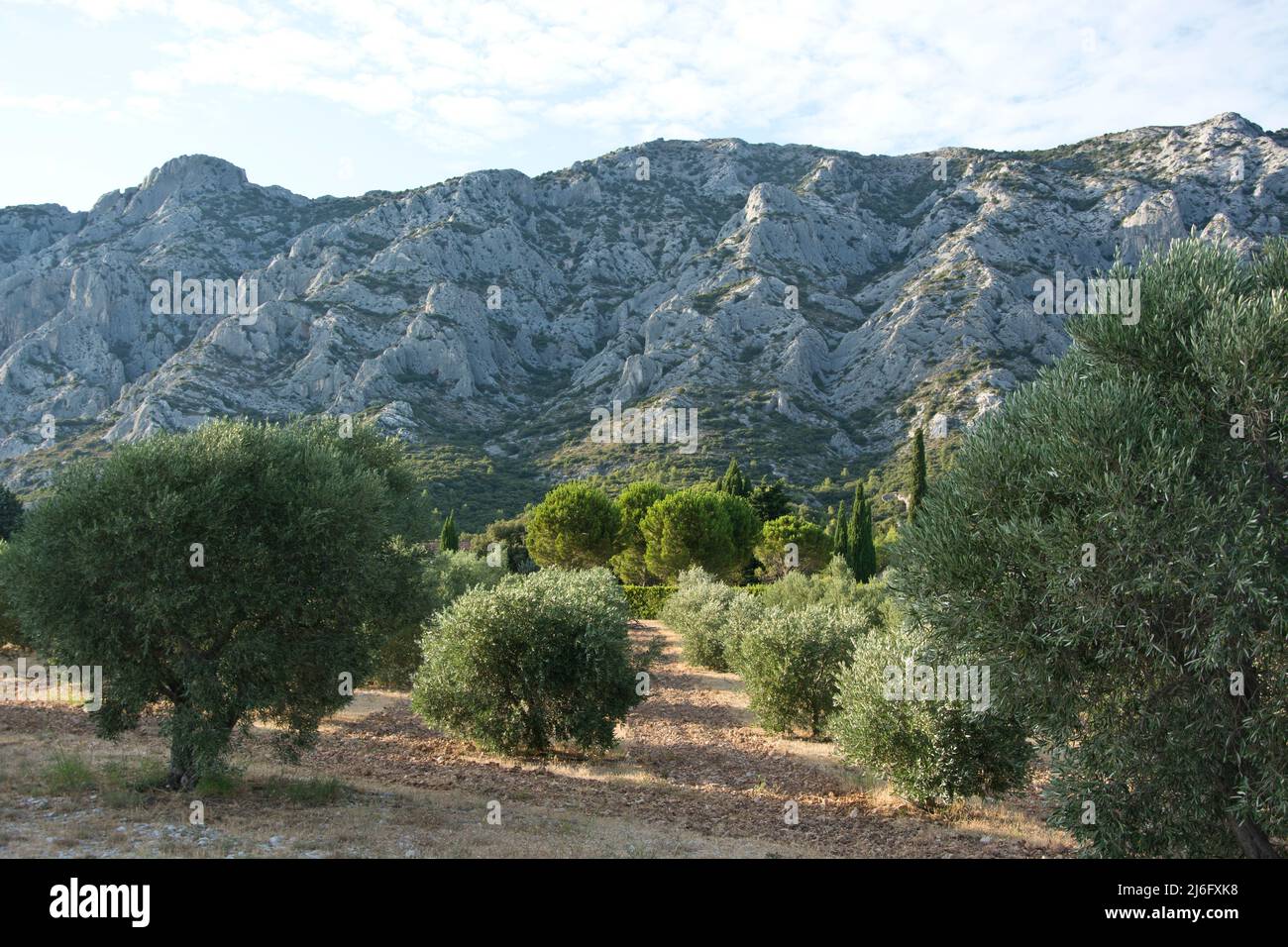 Die spektakuläre Montagne Sainte-Victoire, Kalksteingebirge im Süden Frankreichs in der Nähe von Aix-en-Provence Stockfoto