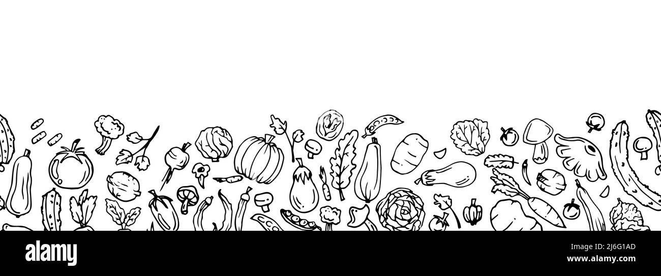 Köstliches Gemüse Obst im Garten. Essbare Lebensmittelpflanzen. Kontinuierliche, nahtlose Bilder. Unterer Rand am Rand. Handgezeichnete Umrisse. Monochrome Zeichnung Stock Vektor