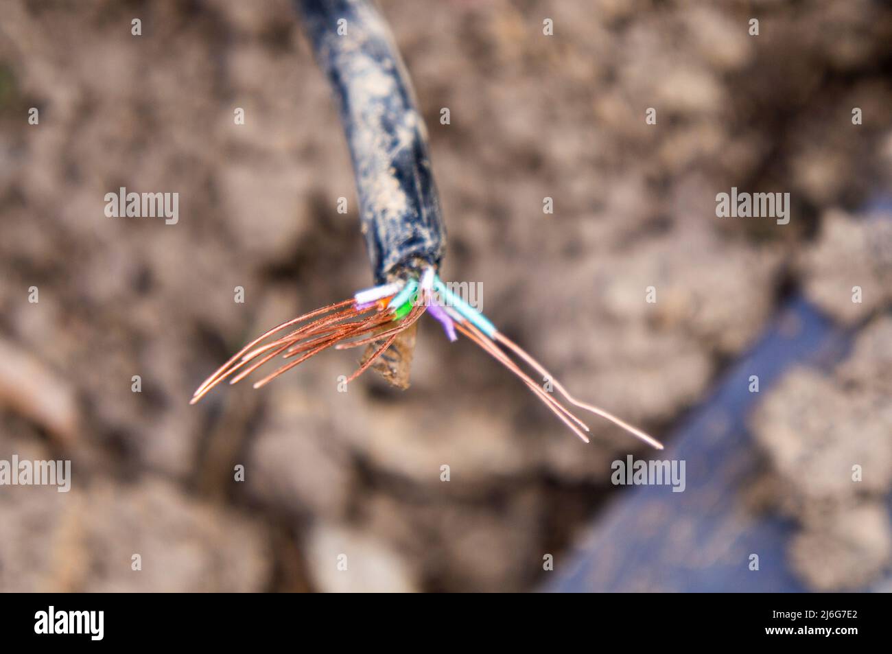 Beschädigte Erdkabel beim Graben, eingerastet, defektes Stromleitungskabel, Verkabelung, defekte Stromleitung, Reparatur, Pruhonice, Tschechische Republik am 29. April 2 Stockfoto