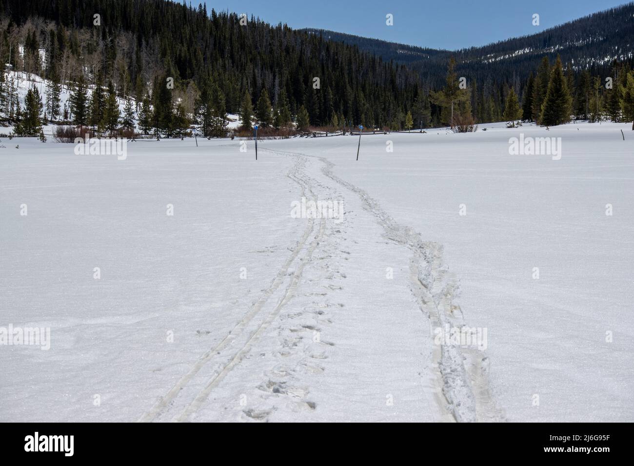 Schneeschuhe und Langlaufloipen markieren eine schneebedeckte Landschaft im State Forest State Park in den Rocky Mountains von Colorado Stockfoto