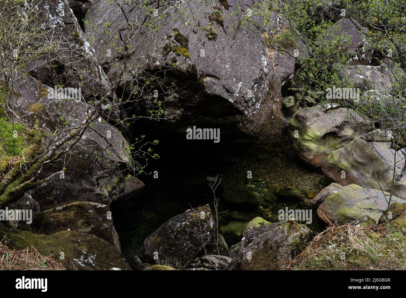 Natursteinbecken mit moosbedeckten Steinen und Vegetation in der schottischen Highland-Landschaft Stockfoto