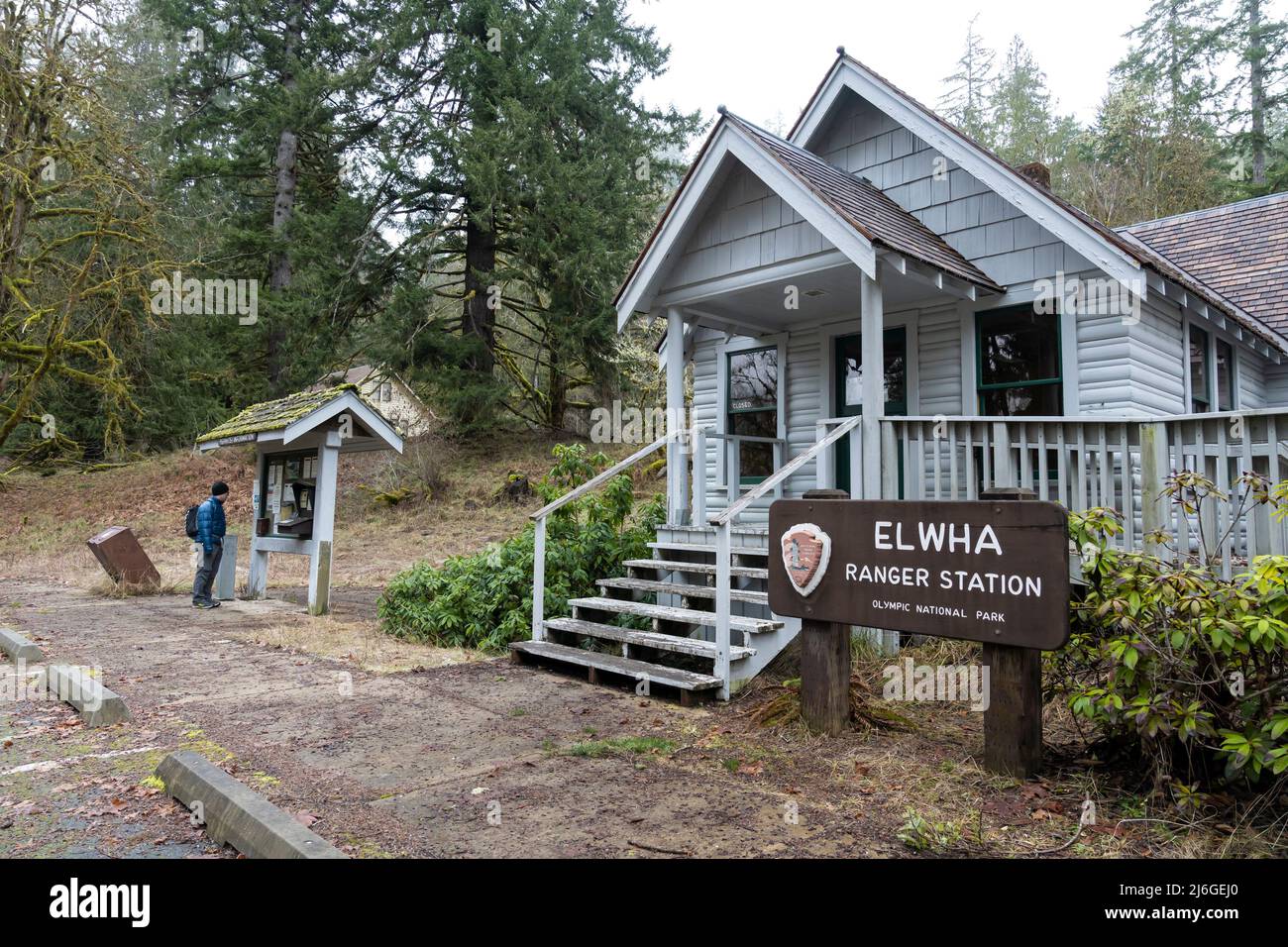 Ein Wanderer liest die Informationstoppe an der geschlossenen Elwha Ranger Station im Olympic National Park, Washington. Der Bereich wurde wiederholt von beeinflusst Stockfoto