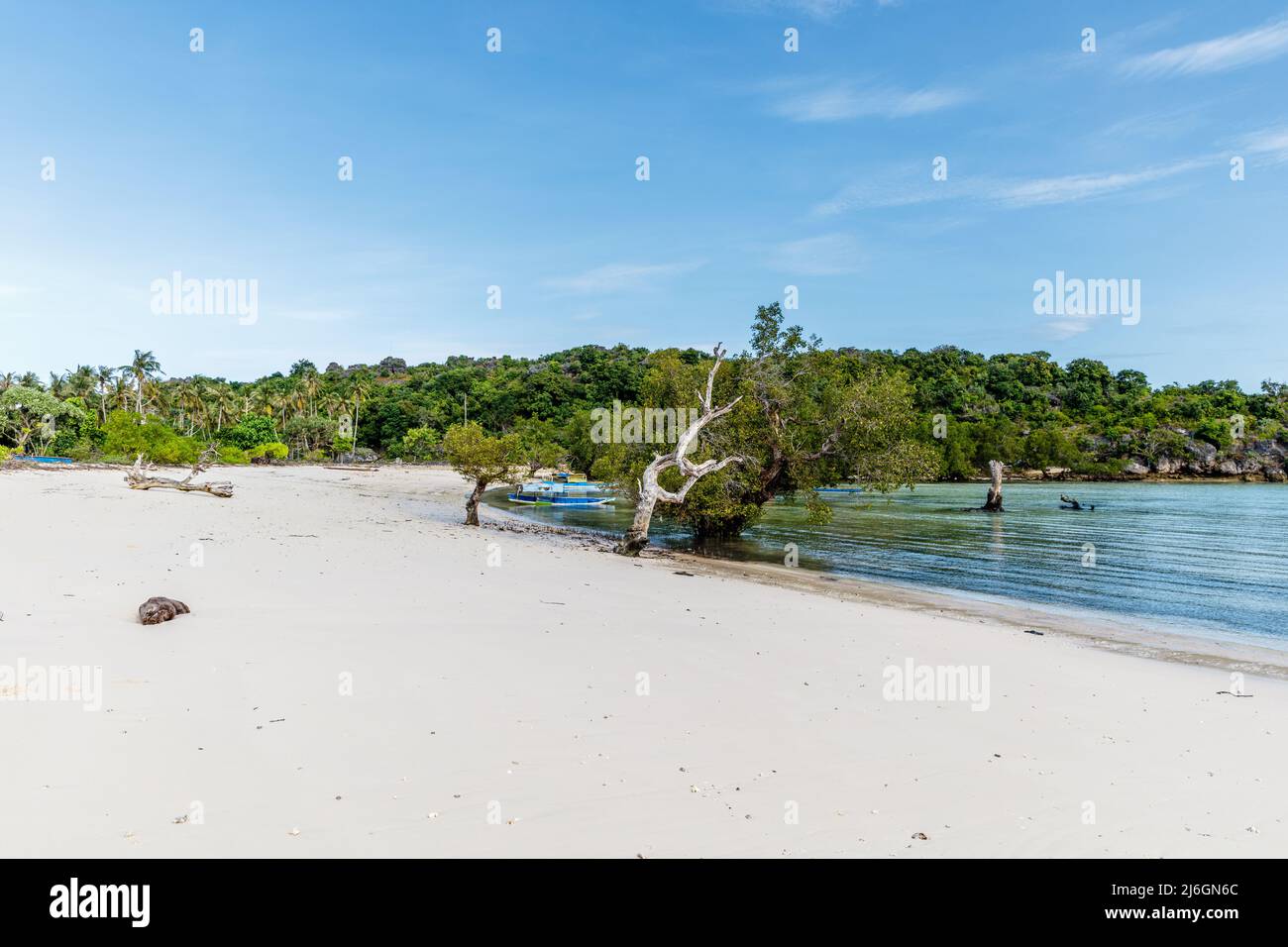 Mangrovenwald auf der Roten Insel, Ostnusa Tenggara Provinz, Indonesien Stockfoto