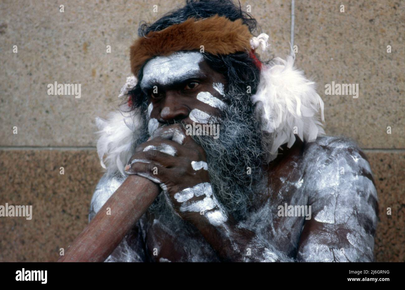 ABORIGINES, DER DIDGERIDOO SPIELT, NSW, AUSTRALIEN. Stockfoto