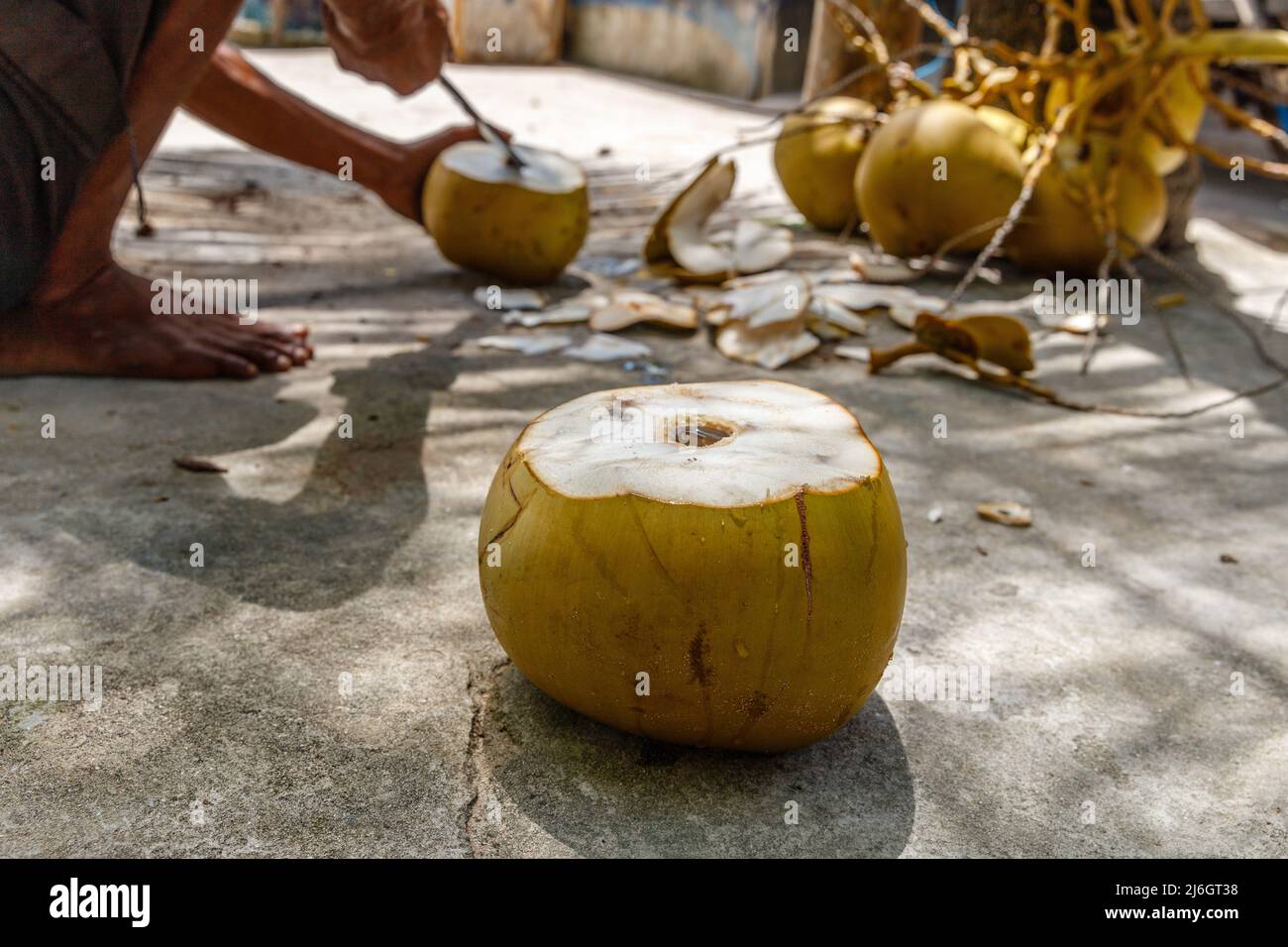 Junge Kokosnuss mit einem Loch zum Trinken. Mann schneidet Kokosnüsse mit großem Messer auf dem Hintergrund. Ndao Island, Indonesien. Stockfoto