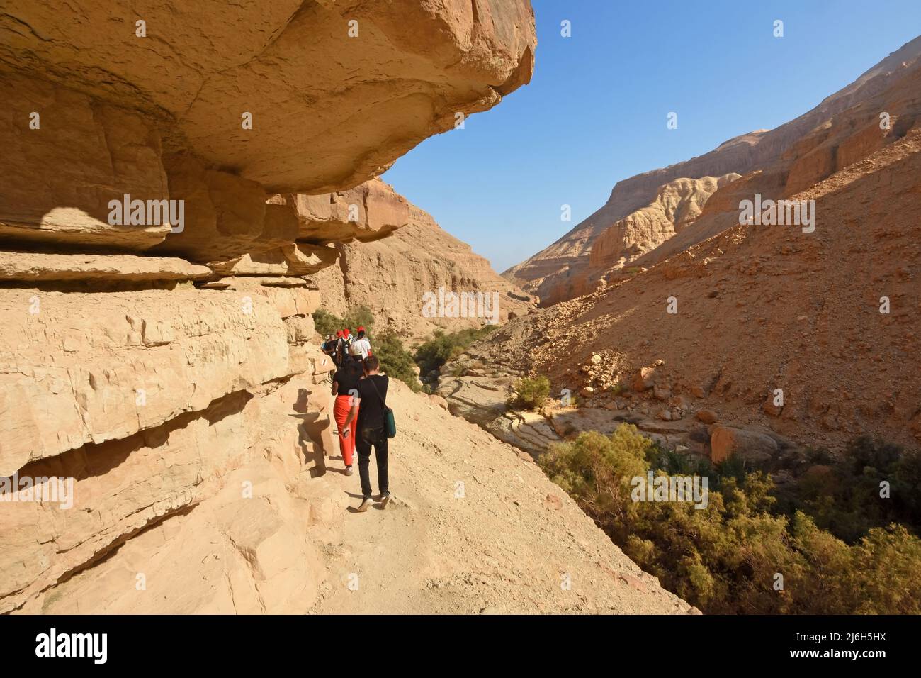 Wadi Arugot in der Judäischen Wüste, Israel Stockfoto