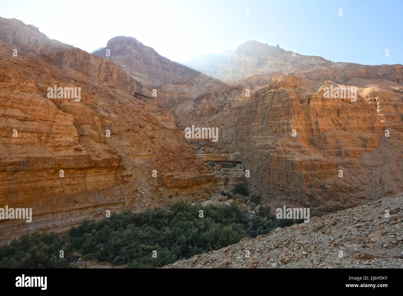 Wadi Arugot in der Judäischen Wüste, Israel Stockfoto