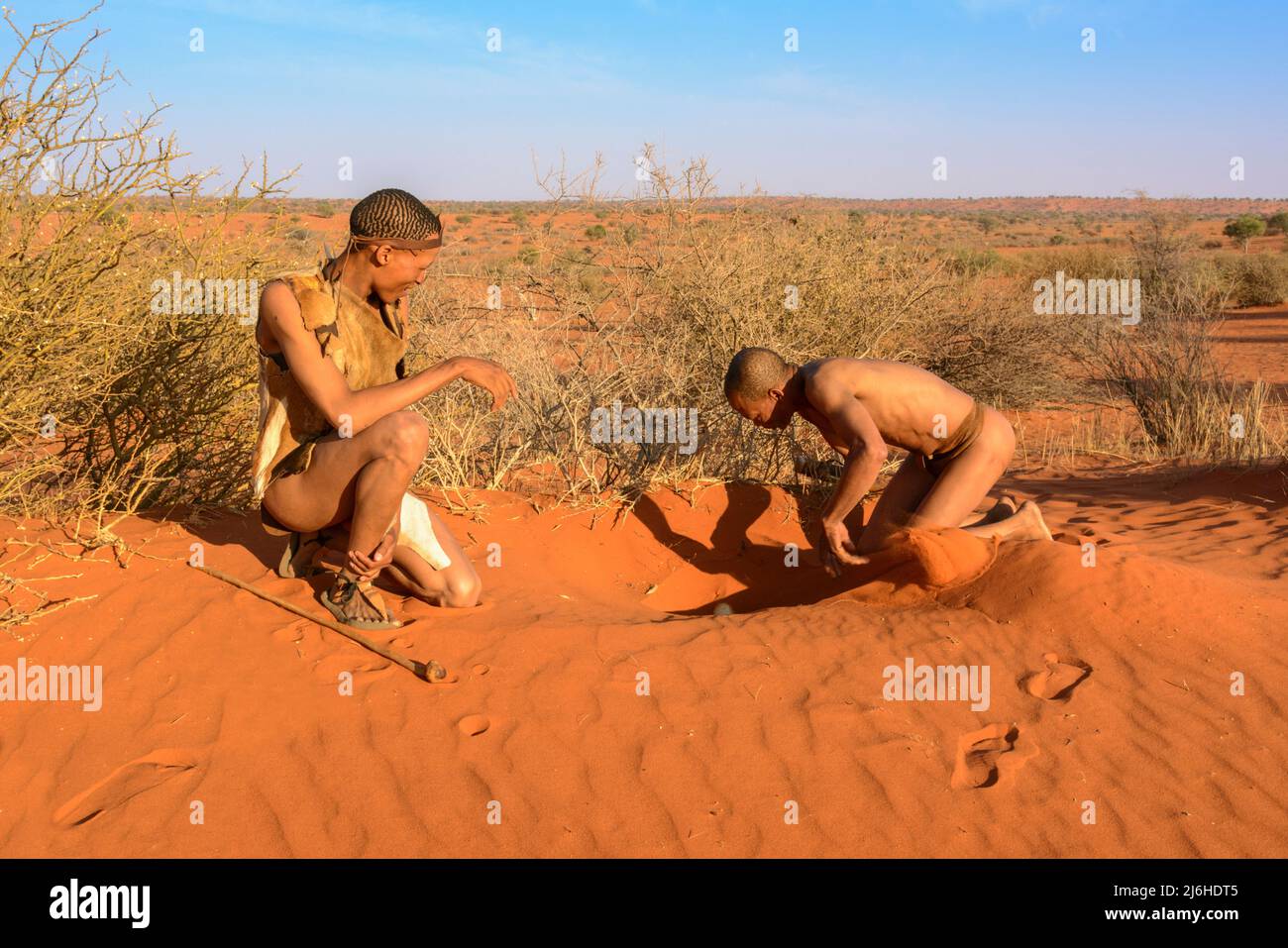 San (Saan) Buschmänner, einheimische Jäger und Sammler, begraben Straußeneier, gefüllt mit Wasser für die Trockenzeit, Kalahari-Wüste, Namibia, Südwestafrika Stockfoto