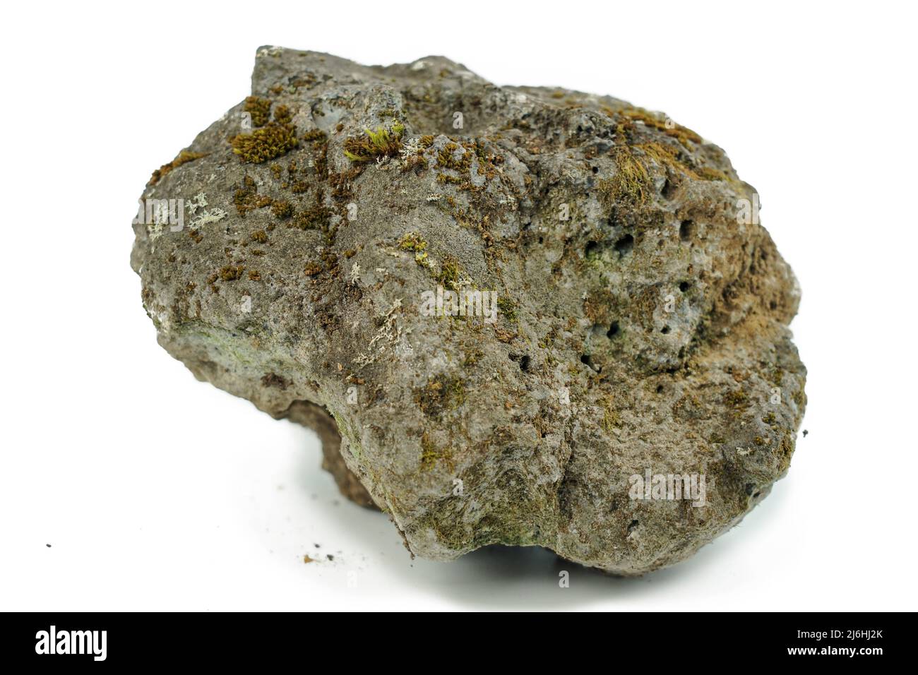 Alter poröser Stein, bewachsen mit Moos auf weißem Grund. Stein für Textur Stockfoto