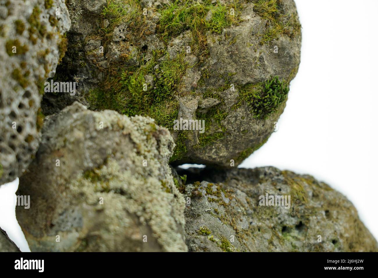 Alter poröser Stein, bewachsen mit Moos auf weißem Grund. Stein für Textur Stockfoto