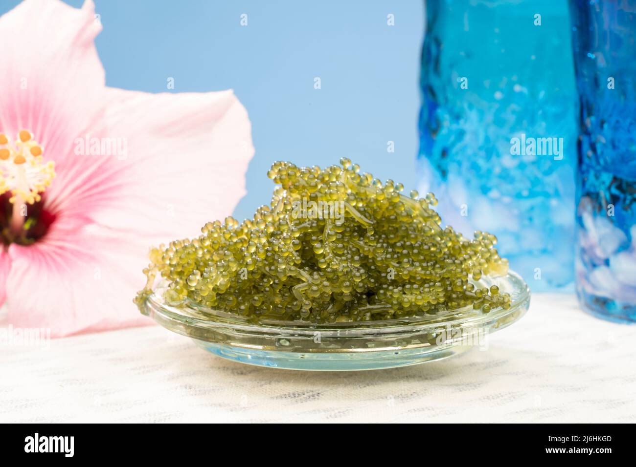 Umibudou oder Seegras eine beliebte Algen / Algen in Okinawa, Japan gegessen und bekannt für seine puchi puchi knallende Sensation. Stockfoto