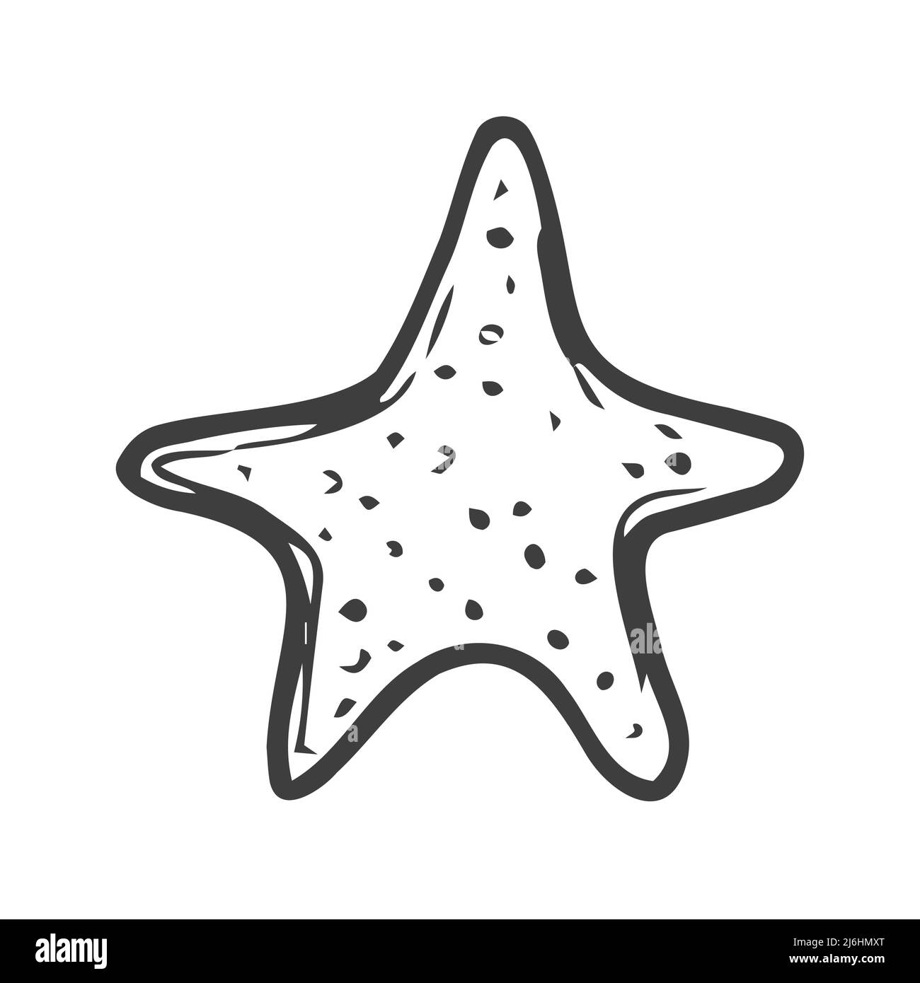 Handgezeichnetes Seestar-Symbol mit Doodle auf weißem Hintergrund. Vektor-Illustration Florida Symbol USA Karikatur Ozean Element Tropischen Strand Urlaub Meer Stock Vektor