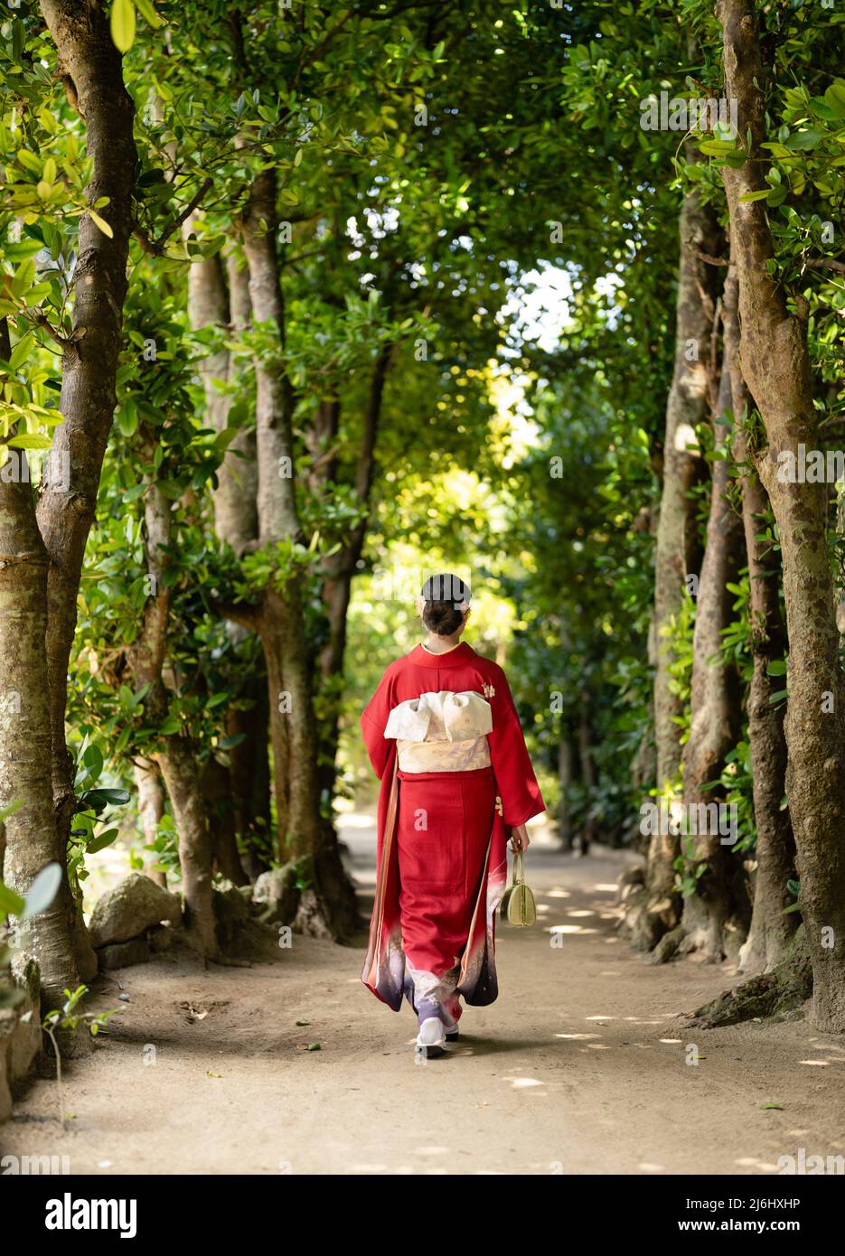 Junge Frau mit Kimono in den Fukugi-Baumspuren von Bise Village, Motobu, Kunigami, Hauptinsel Okinawa, Japan Stockfoto