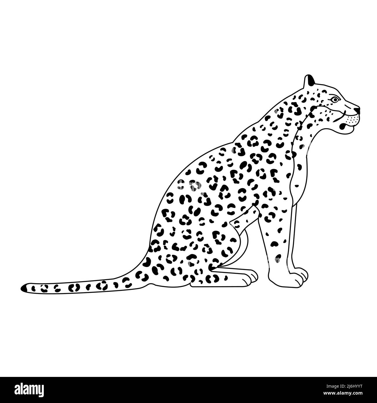 Vektor flach sitzenden Leoparden isoliert auf weißem Hintergrund Stock Vektor