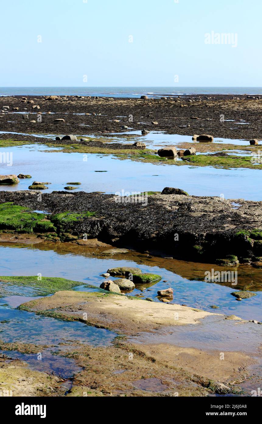 Die Felsenpools und das glitzernde Meer von Robin Hood's Bay, Yorkshire, Großbritannien Stockfoto