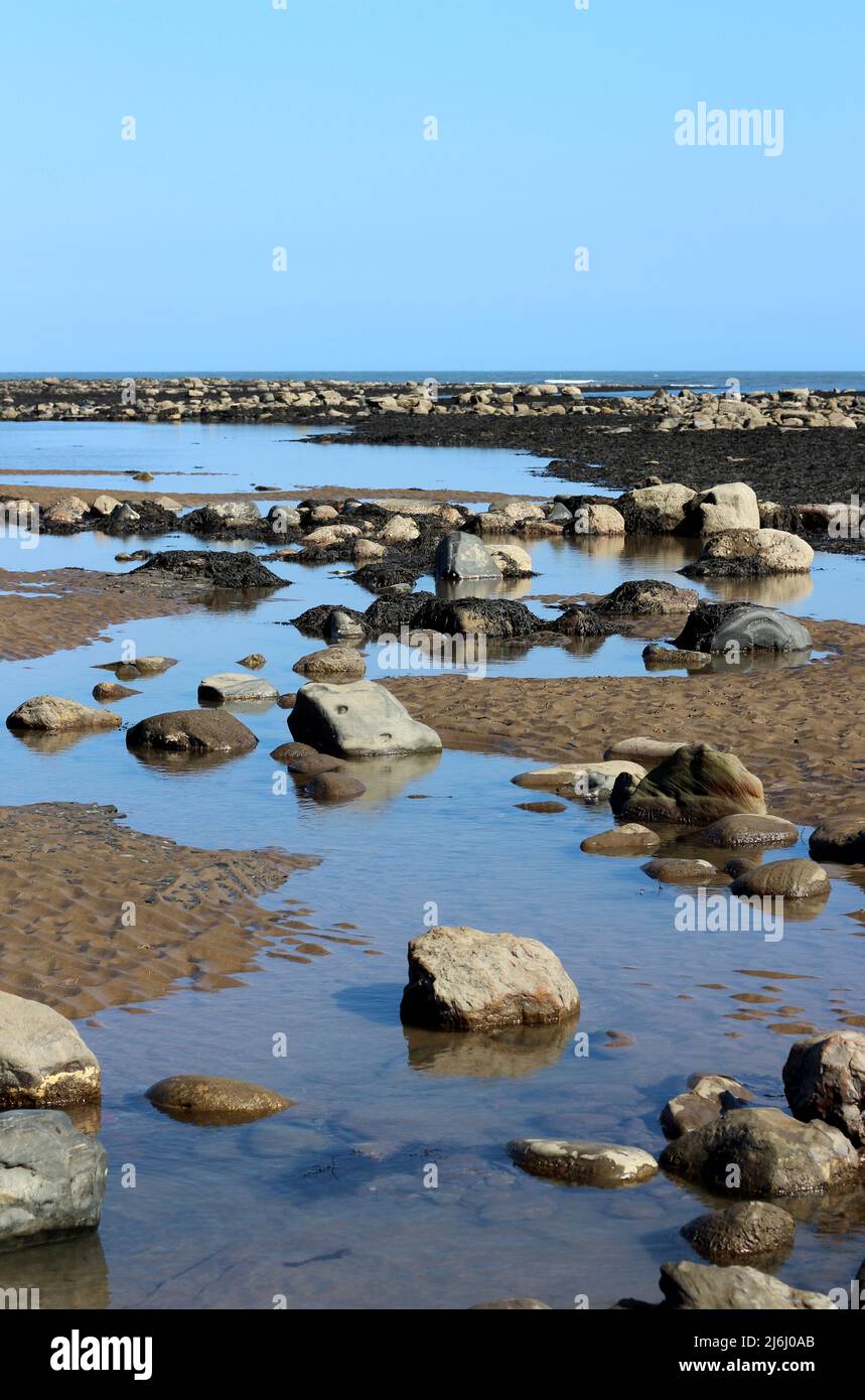 Die Felsenpools und das glitzernde Meer von Robin Hood's Bay, Yorkshire, Großbritannien Stockfoto