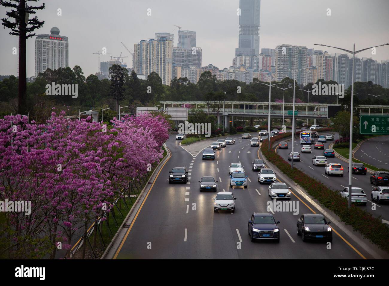 (220502) -- PEKING, 2. Mai 2022 (Xinhua) -- das Foto vom 21. März 2022 zeigt Fahrzeuge, die während der abendlichen Hauptverkehrszeit in Shenzhen, der südchinesischen Provinz Guangdong, auf einer Straße fahren. (Foto von Liu Yujie/Xinhua) Stockfoto