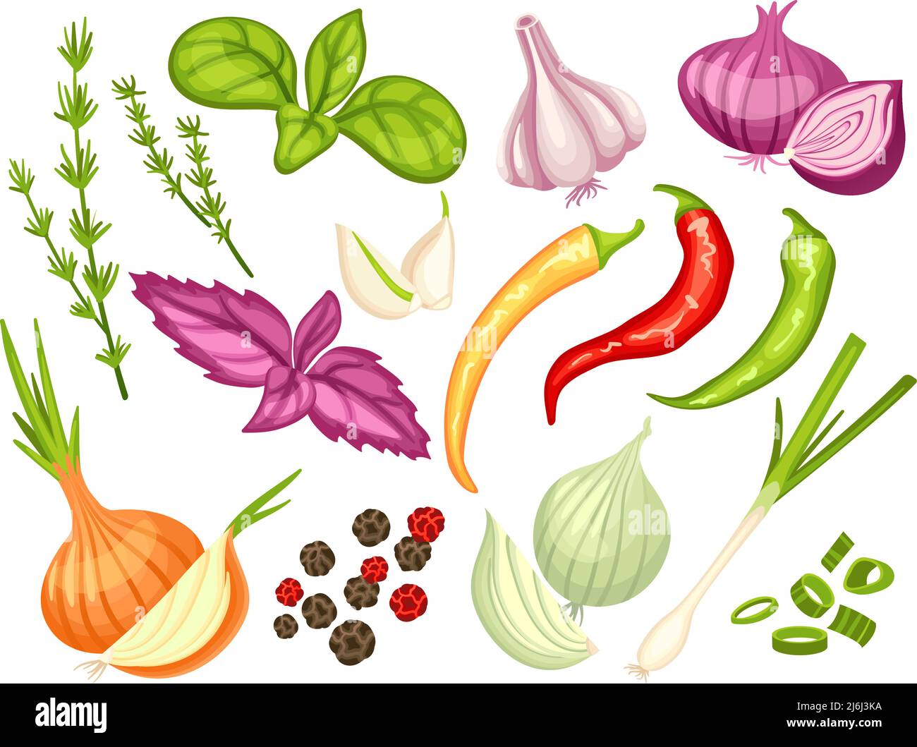 Cartoon-Gewürze. Zwiebel, Knoblauch und Chilischoten. Würzige Saucenzutaten, basilgrüne Blätter und getrockneter Pfeffer. Gemüse, kulinarische Kräuter ordentlich Vektor Stock Vektor