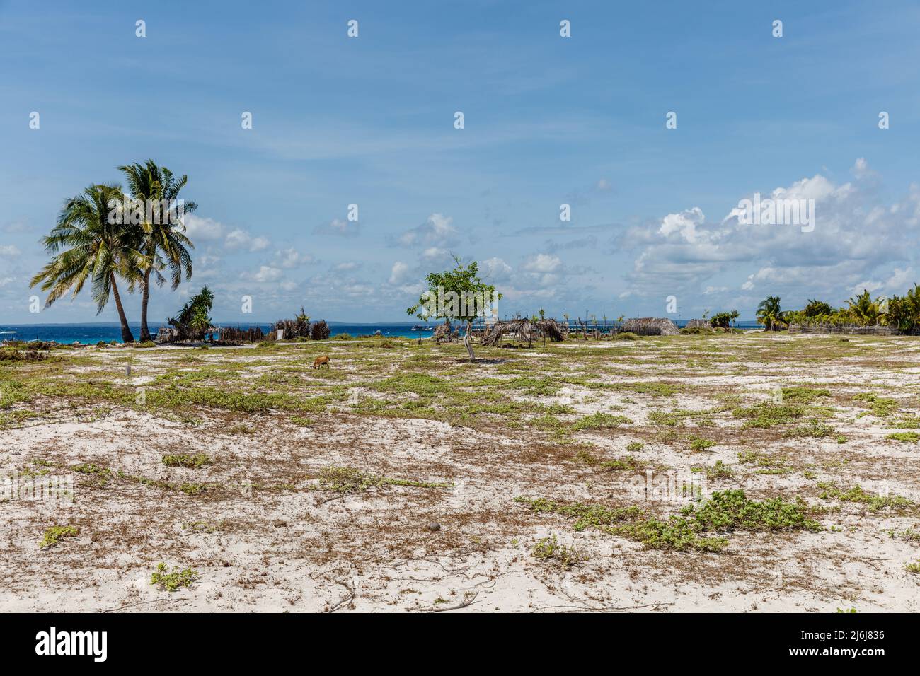Küstenlandschaft der Insel Ndao (Pulau Ndao oder Rai Dhao), Provinz East Nusa Tenggara, Indonesien Stockfoto