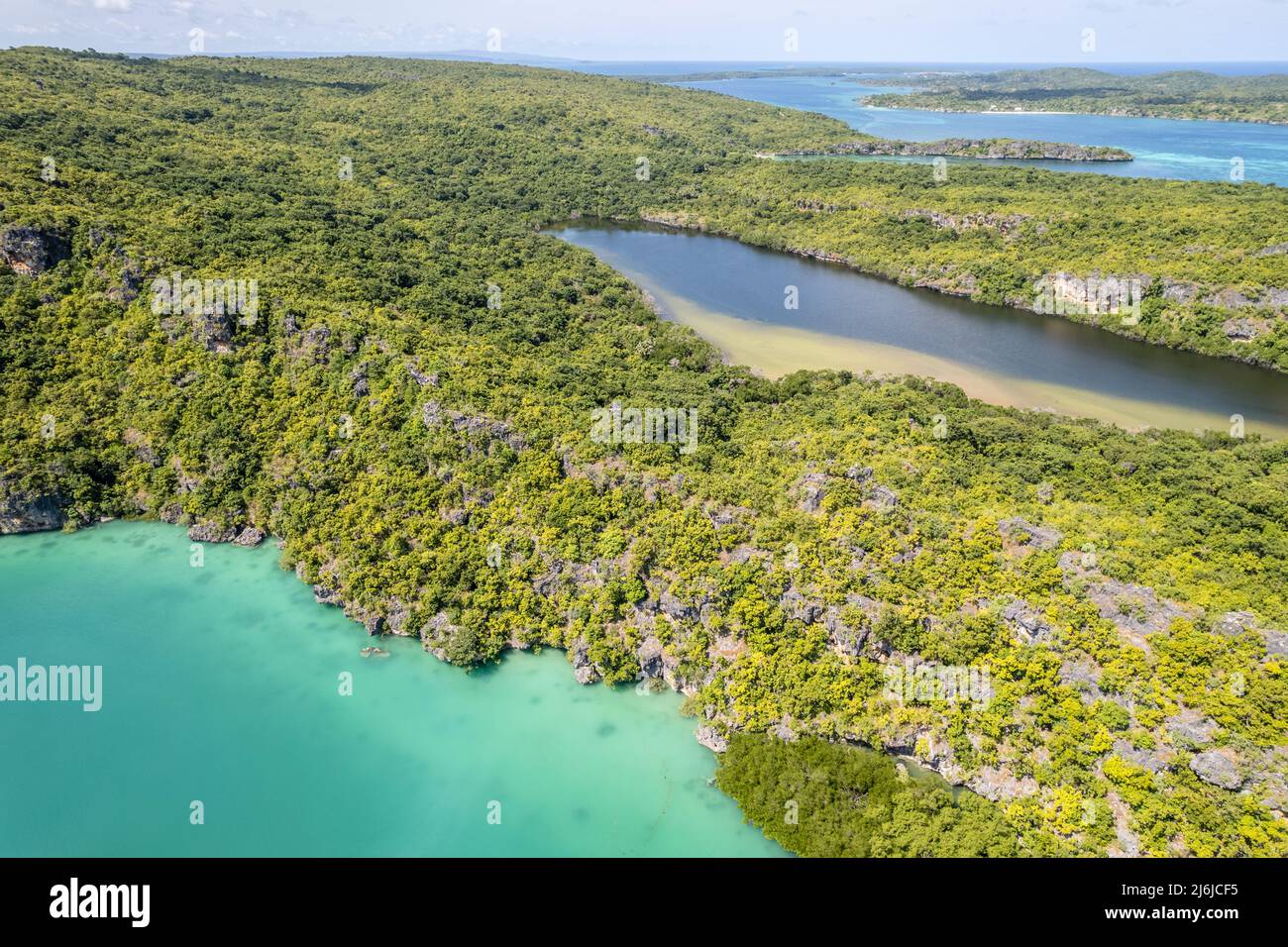 Luftaufnahme des Mangrovenwaldes auf der Roten Insel, Provinz East Nusa Tenggara, Indonesien Stockfoto