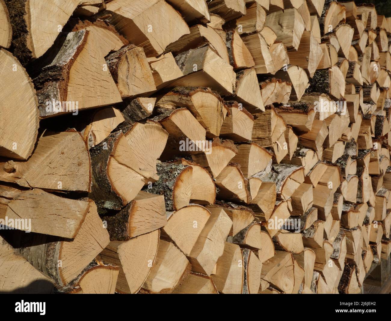 Vor kurzem haben wir Birken abgesäumt, die zu Holz geschnitten und auf Paletten zusammengestapelt wurden, um sie zu Laubholz zu trocknen. Norwegisches Brennholz in Schornsteinen. Stockfoto