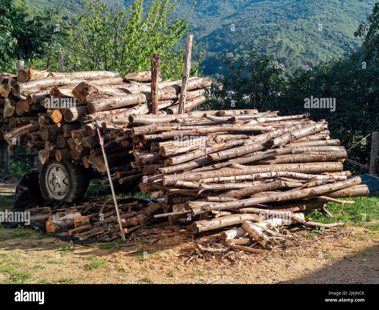 Catasta di legna tagliata e pronta da utilizzare o bruciare Stockfoto